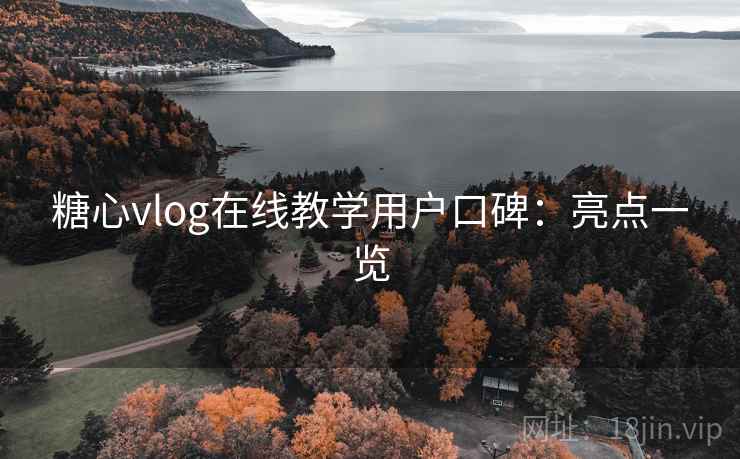 糖心vlog在线教学用户口碑:亮点一览