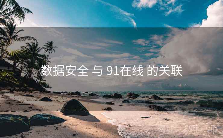 数据安全 与 91在线 的关联