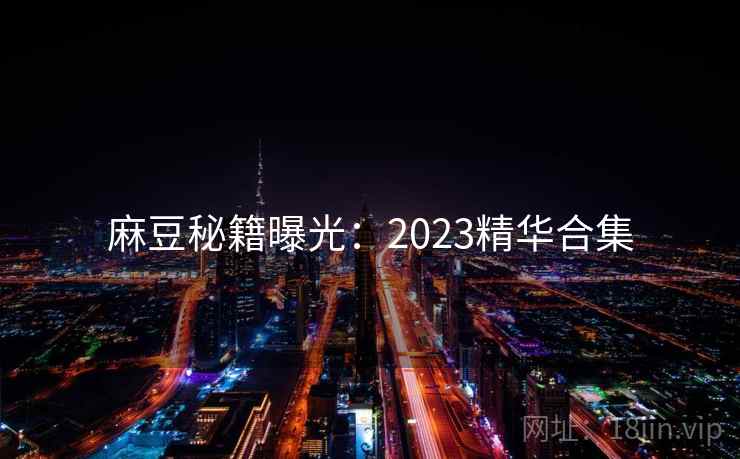 麻豆秘籍曝光:2023精华合集