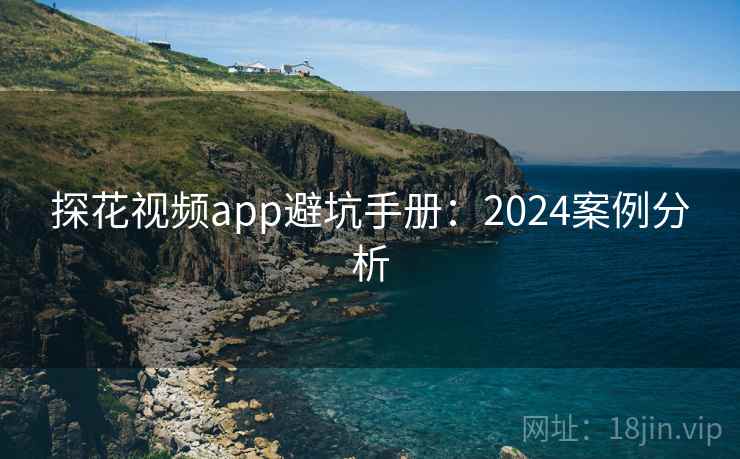 探花视频app避坑手册：2024案例分析
