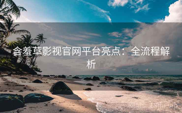 含羞草影视官网平台亮点：全流程解析