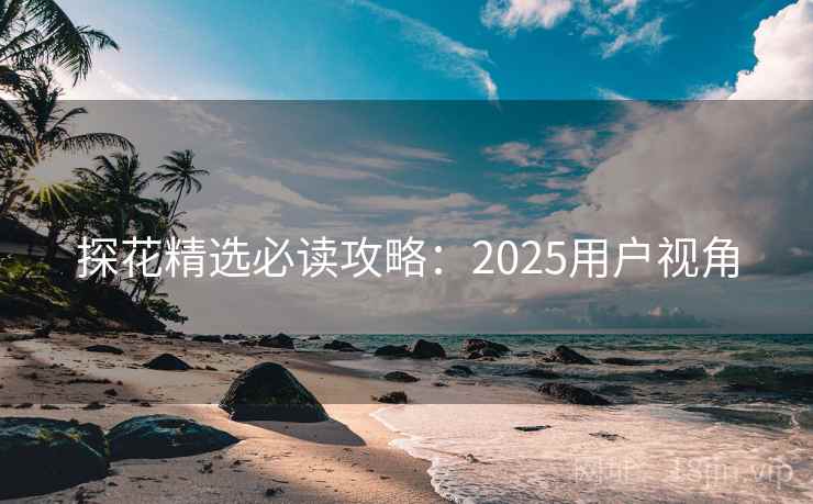 探花精选必读攻略:2025用户视角