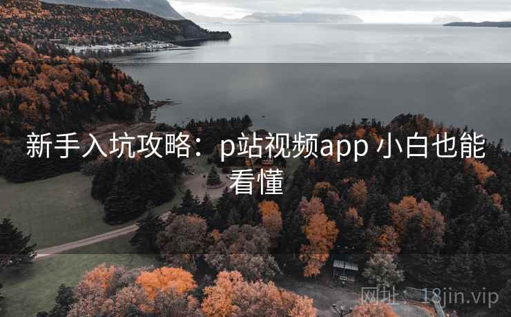 新手入坑攻略：p站视频app 小白也能看懂