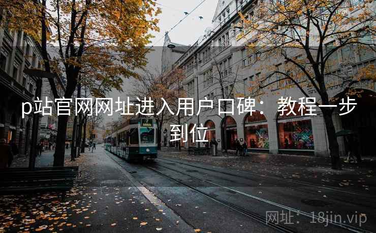p站官网网址进入用户口碑：教程一步到位