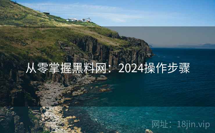 从零掌握黑料网：2024操作步骤